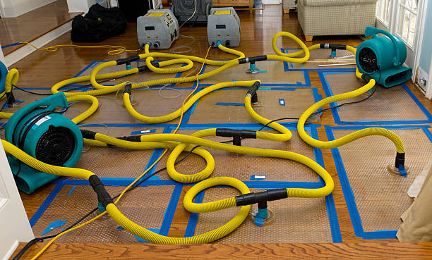 Professional Crawl Space Water Removal technician working in Woodville, WI